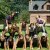LES CAVALIERS DE L'ELEVAGE DU LOIR