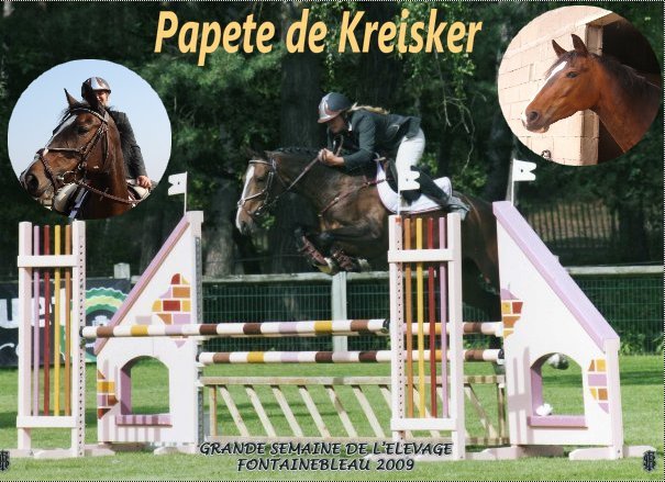 Papete de Kreisker