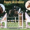 Papete de Kreisker