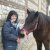 LES CHEVAUX DE PROPRIETAIRES