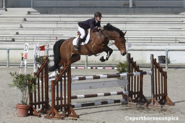 Starlette du Loir