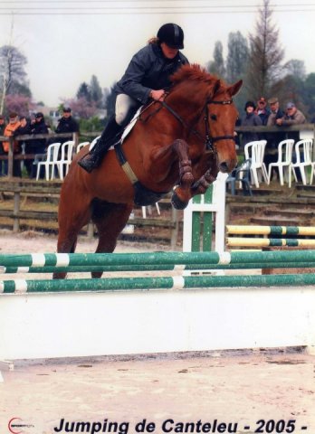 Magic du Loir