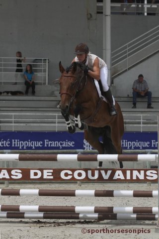 starlette du Loir