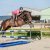 LE CONCOURS DU LOIR 