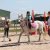 LE CONCOURS DU LOIR 