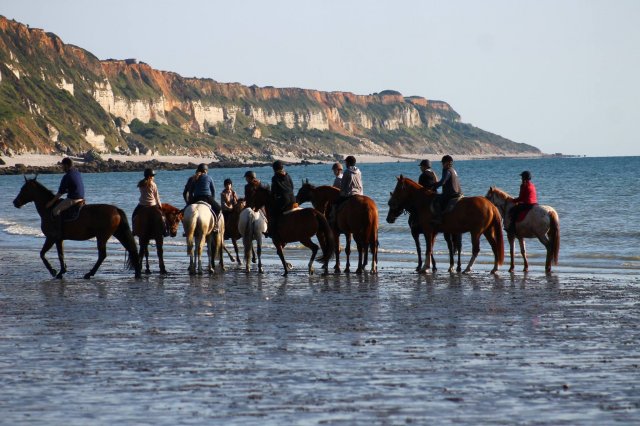 CAVALIERS A LA PLAGE