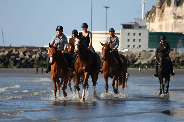 PLAGE 2015