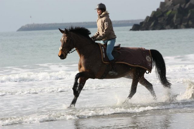 Galop dans l'eau