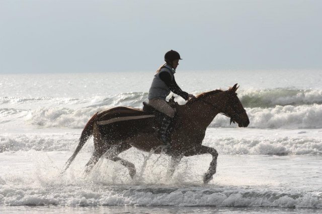 dans l'eau !!