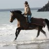 Galop dans l'eau