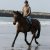 LE LOIR A LA PLAGE