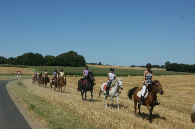 Nos poneys en balade