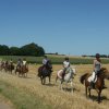 Nos poneys en balade